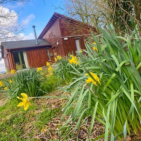 Ballyorgan Ballyhoura Mountain Lodges מראה חיצוני תמונה