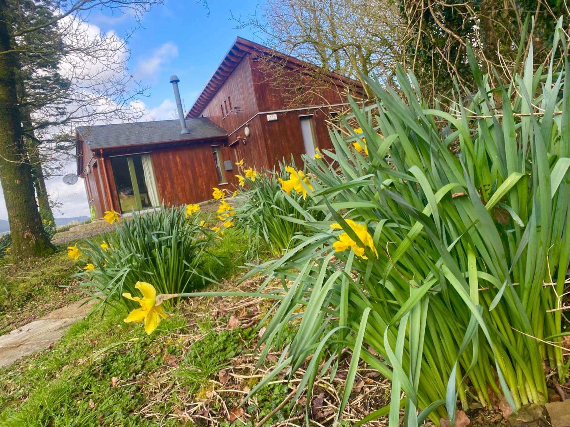 Ballyorgan Ballyhoura Mountain Lodges מראה חיצוני תמונה