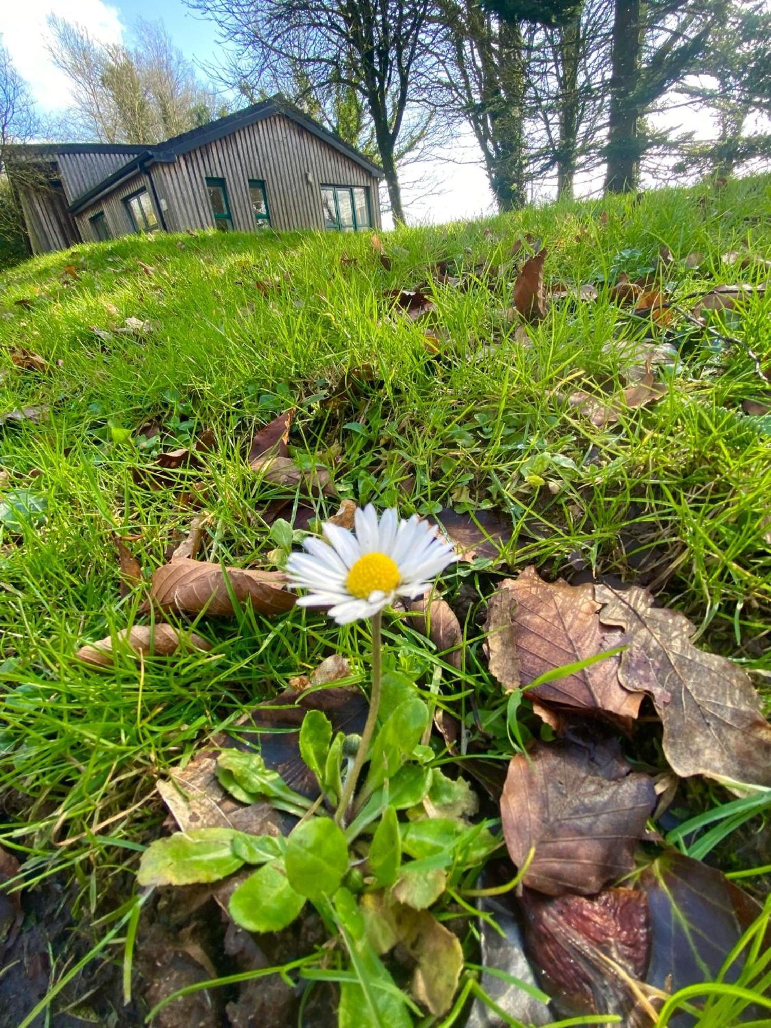 Ballyorgan Ballyhoura Mountain Lodges מראה חיצוני תמונה