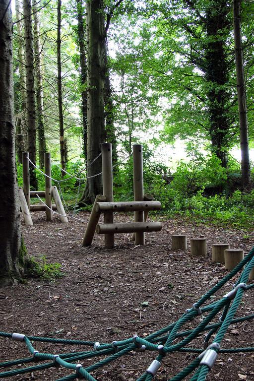 Ballyorgan Ballyhoura Mountain Lodges חדר תמונה