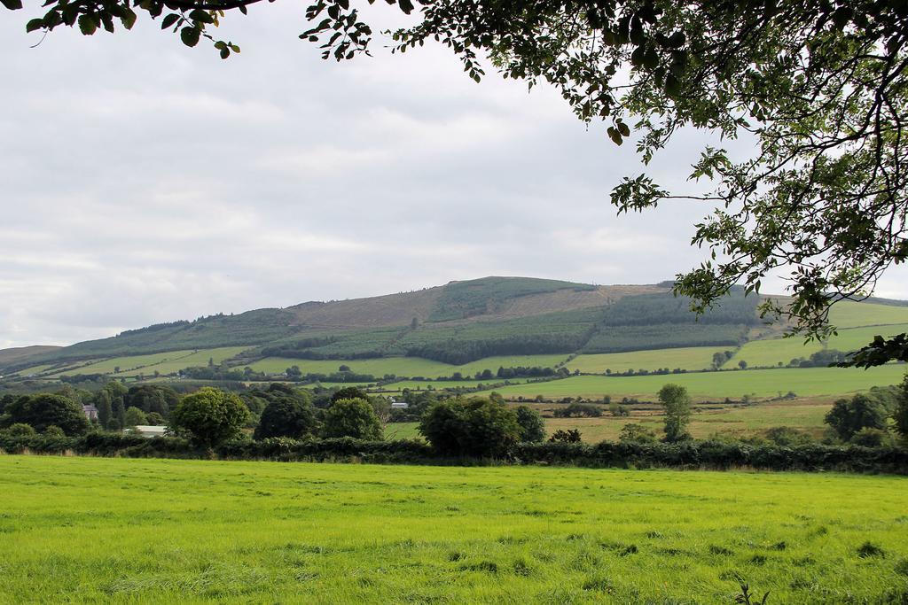 Ballyorgan Ballyhoura Mountain Lodges חדר תמונה